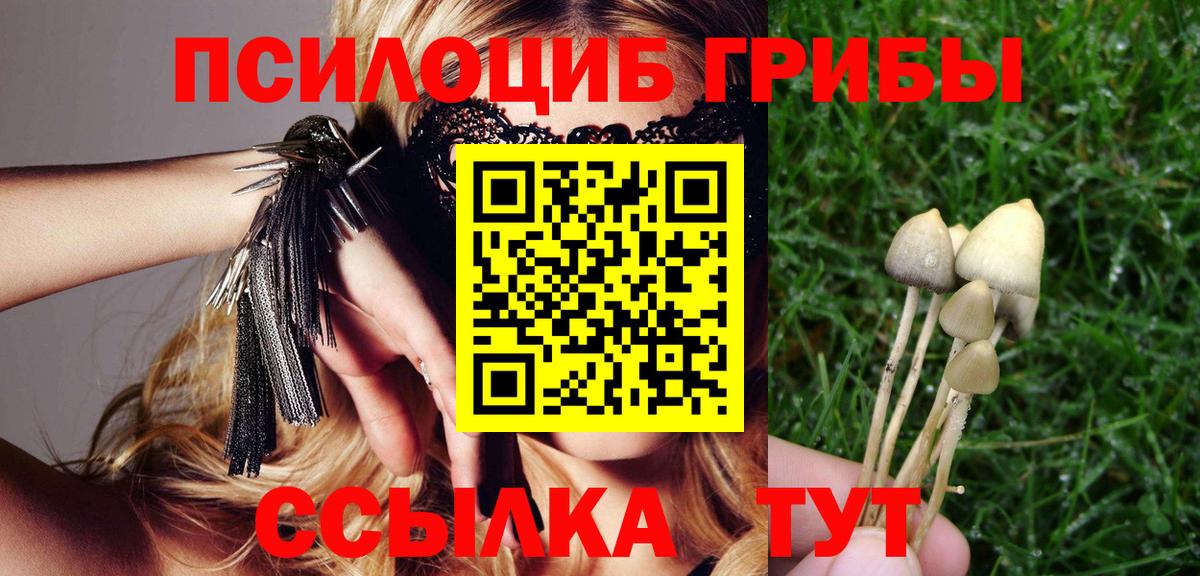 Галлюциногенные грибы мицелий  Вход с VPN  Туймазы 